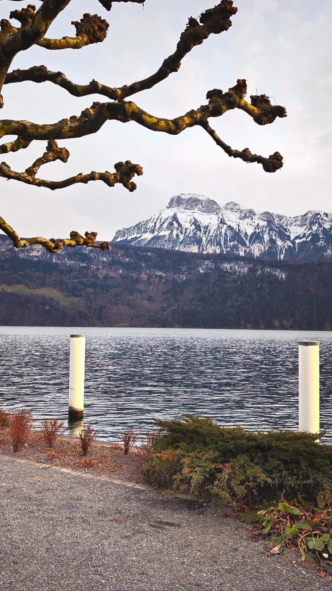 Seehotel Schwert Gersau Extérieur photo